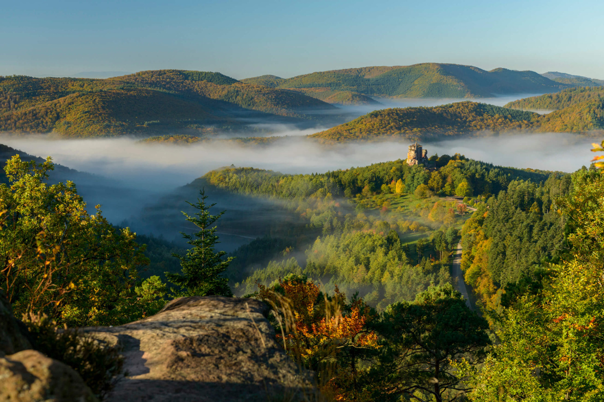 Vosges