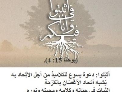 الاب